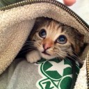 สมาชิกหมายเลข 1978139