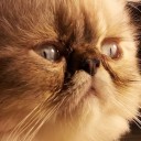 สมาชิกหมายเลข 912489