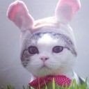 สมาชิกหมายเลข 1133337