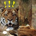 สมาชิกหมายเลข 1165819