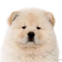 สมาชิกหมายเลข 2407894