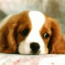 สมาชิกหมายเลข 2804324