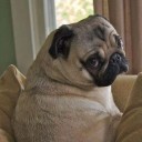 สมาชิกหมายเลข 3232810