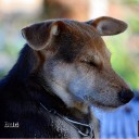 กาแฟดำมันขมเน๊อะ