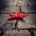 สมาชิกหมายเลข 775791