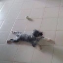 สมาชิกหมายเลข 1587002