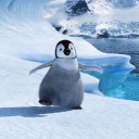 สมาชิกหมายเลข 1042621