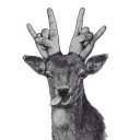 สมาชิกหมายเลข 2016461