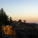 สมาชิกหมายเลข 2261534