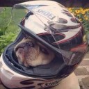 สมาชิกหมายเลข 2806569