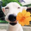 สมาชิกหมายเลข 3234650