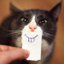 สมาชิกหมายเลข 776172