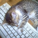 สมาชิกหมายเลข 986600