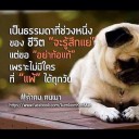 สมาชิกหมายเลข 1587353
