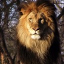 สมาชิกหมายเลข 3235638