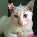 สมาชิกหมายเลข 776388