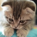 สมาชิกหมายเลข 989316