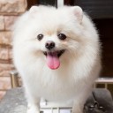 โดนแฟนทิ้ง