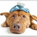 สมาชิกหมายเลข 1621872