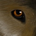 สมาชิกหมายเลข 2017365