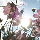 สมาชิกหมายเลข 2408716