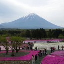 สมาชิกหมายเลข 2510267