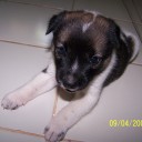 เด็กโข่งเสมอ