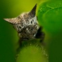 สมาชิกหมายเลข 759525