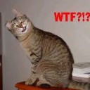 สมาชิกหมายเลข 1437631