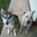 สมาชิกหมายเลข 1099025