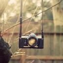 สมาชิกหมายเลข 1347317