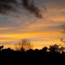 สมาชิกหมายเลข 1543071