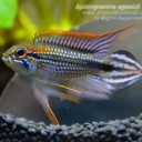 สมาชิกหมายเลข 777330