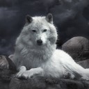 สมาชิกหมายเลข 1442064