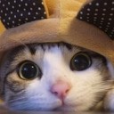 สมาชิกหมายเลข 2403266