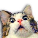 สมาชิกหมายเลข 778200