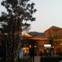 สมาชิกหมายเลข 1177007