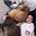 สมาชิกหมายเลข 1589030