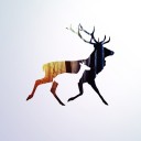 สมาชิกหมายเลข 2006396