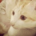 เจ๋อเอ๋อ