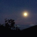 สมาชิกหมายเลข 1590115