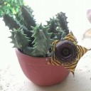 สมาชิกหมายเลข 1008809