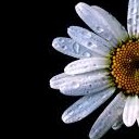 สมาชิกหมายเลข 2487683