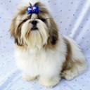 สมาชิกหมายเลข 778600