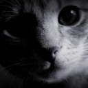 สมาชิกหมายเลข 2019507