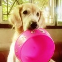 สมาชิกหมายเลข 1153657