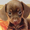 สมาชิกหมายเลข 2410935