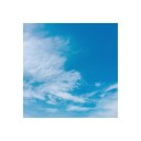 หนู๋อังศุมาริน