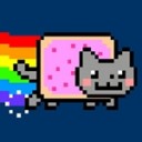 แมวสายรุ้ง