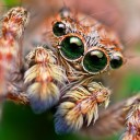 สมาชิกหมายเลข 1741017